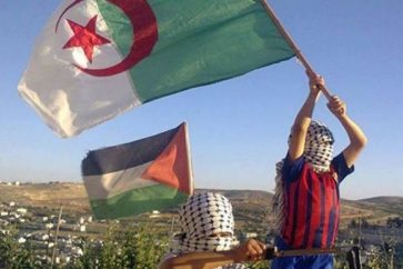 argelia palestina