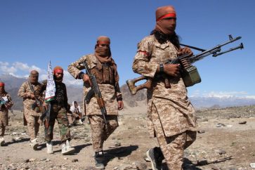 combatientes-talibanes
