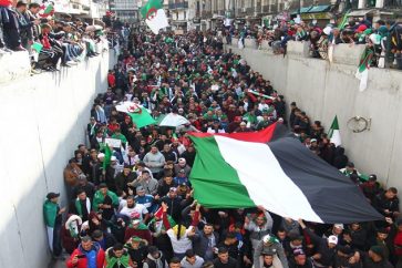 mani-argelia-palestina