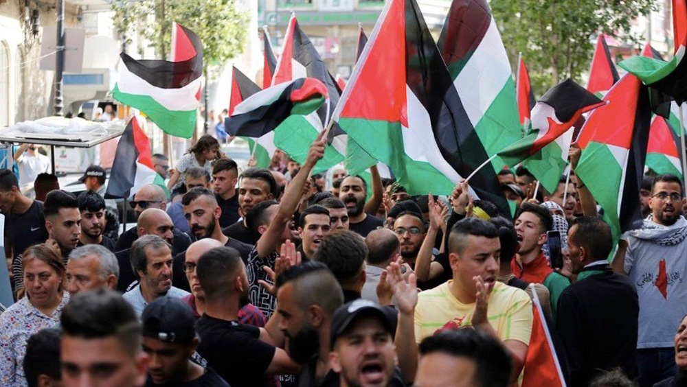 palestinos-banderas-2