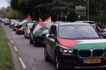 caravana-coches-palestina-rotterdam