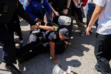 manifestante-pro-palestino-detenido-policia