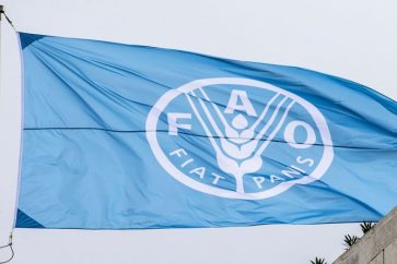 fao