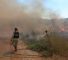 incendio-colonia-dishon